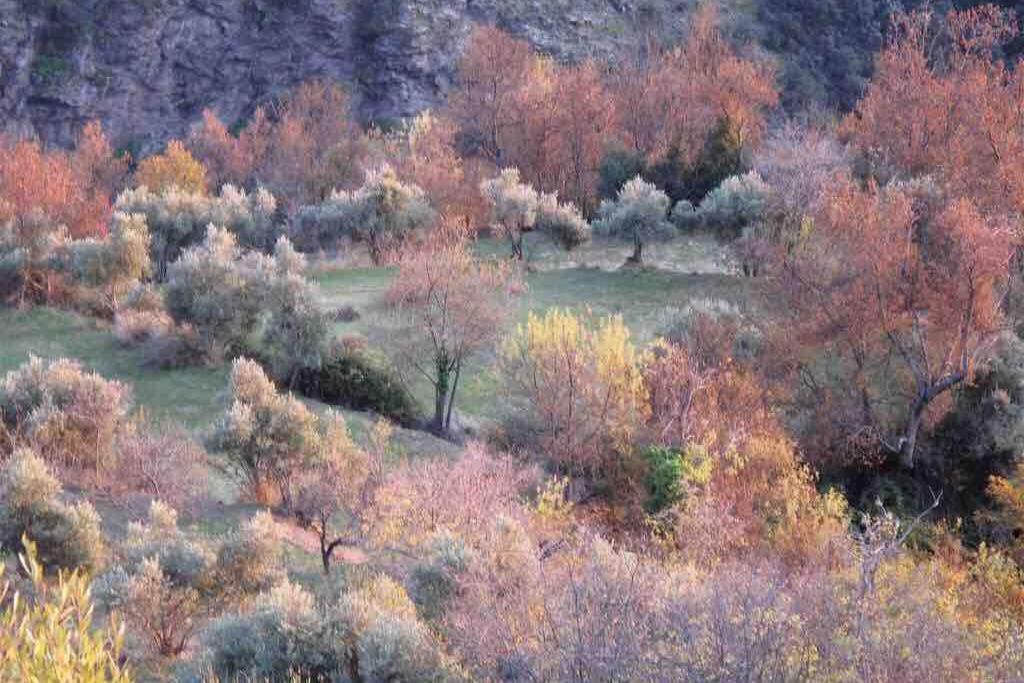 Casa Carmela, Rural House With Spectacular Views, In An Exquisite Area Villa Atalbeitar Eksteriør billede