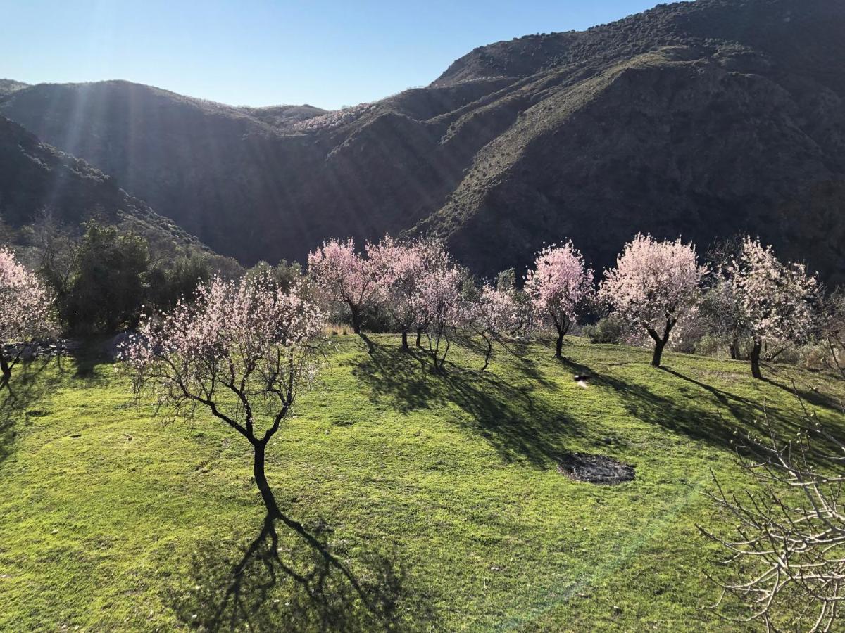 Casa Carmela, Rural House With Spectacular Views, In An Exquisite Area Villa Atalbeitar Eksteriør billede