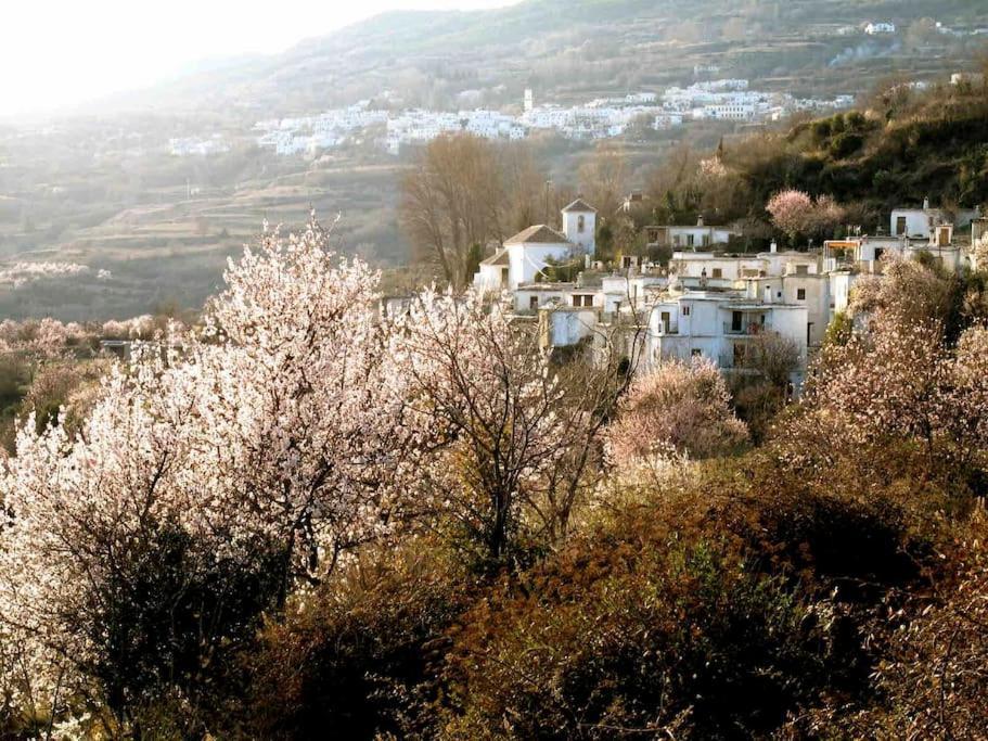 Casa Carmela, Rural House With Spectacular Views, In An Exquisite Area Villa Atalbeitar Eksteriør billede