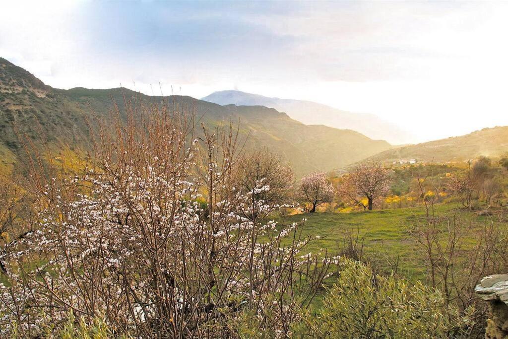 Casa Carmela, Rural House With Spectacular Views, In An Exquisite Area Villa Atalbeitar Eksteriør billede