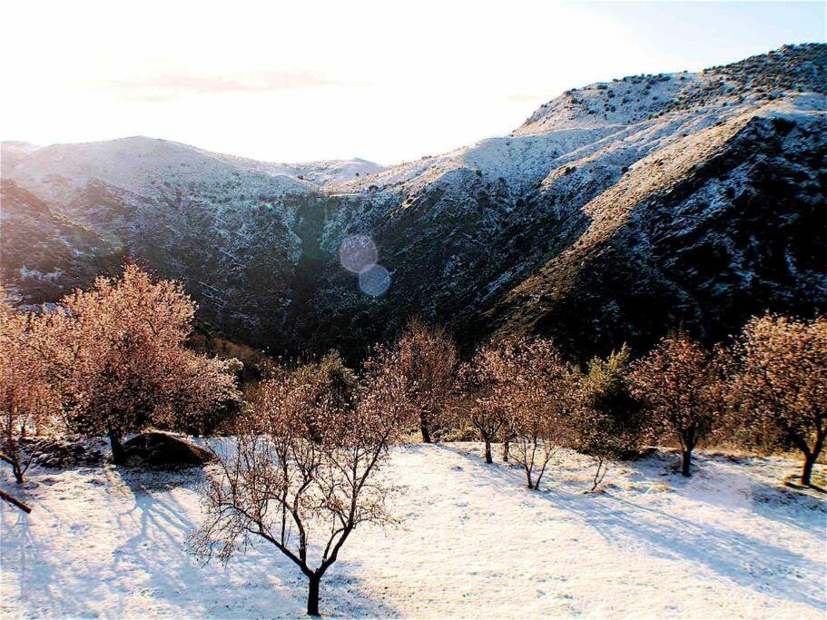 Casa Carmela, Rural House With Spectacular Views, In An Exquisite Area Villa Atalbeitar Eksteriør billede