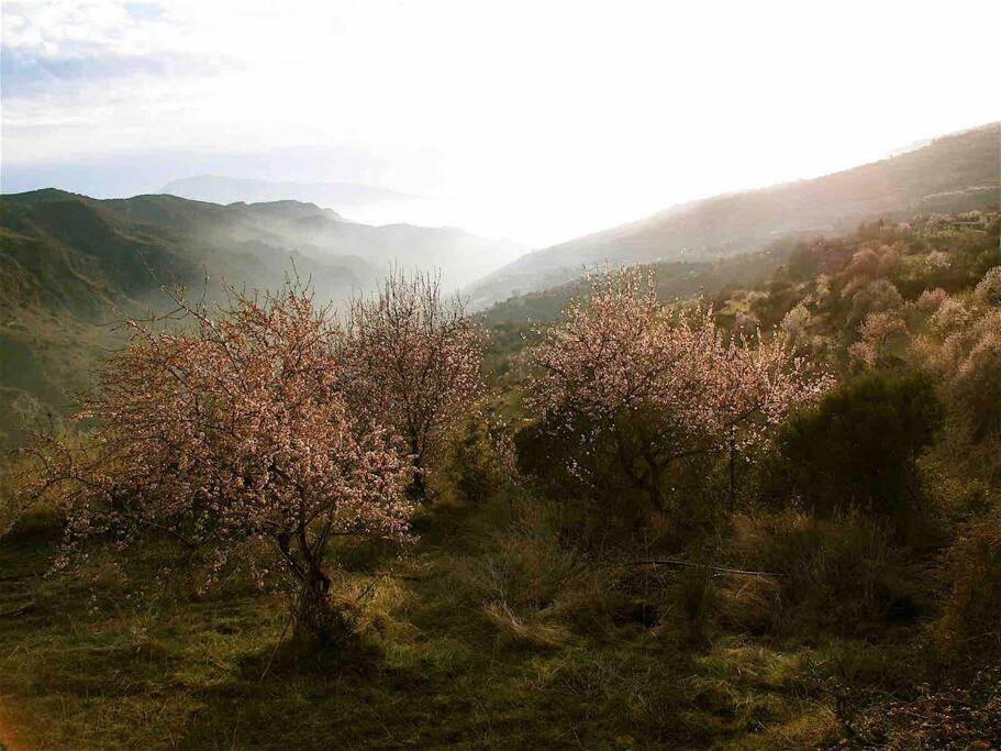 Casa Carmela, Rural House With Spectacular Views, In An Exquisite Area Villa Atalbeitar Eksteriør billede