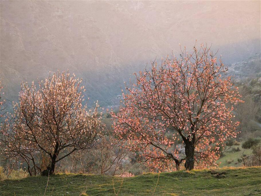 Casa Carmela, Rural House With Spectacular Views, In An Exquisite Area Villa Atalbeitar Eksteriør billede